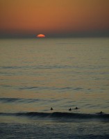/album/galeria-de-fotos-ericeira/abc1-jpg/